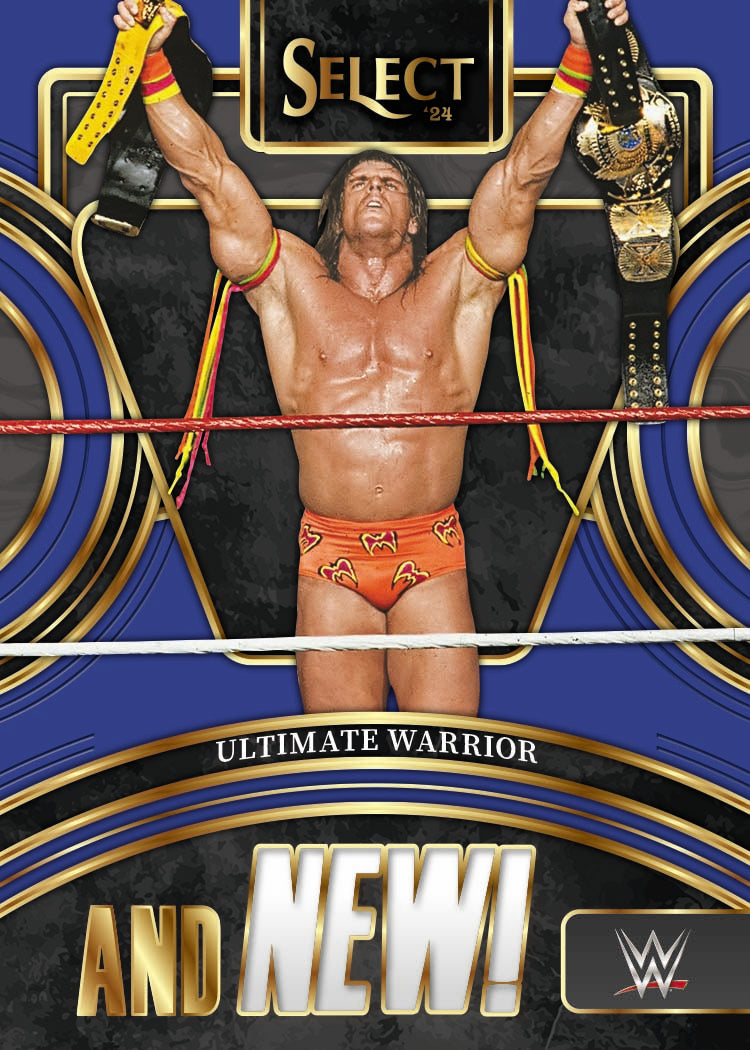 Panini - 2024 Select WWE - Hobby Box
